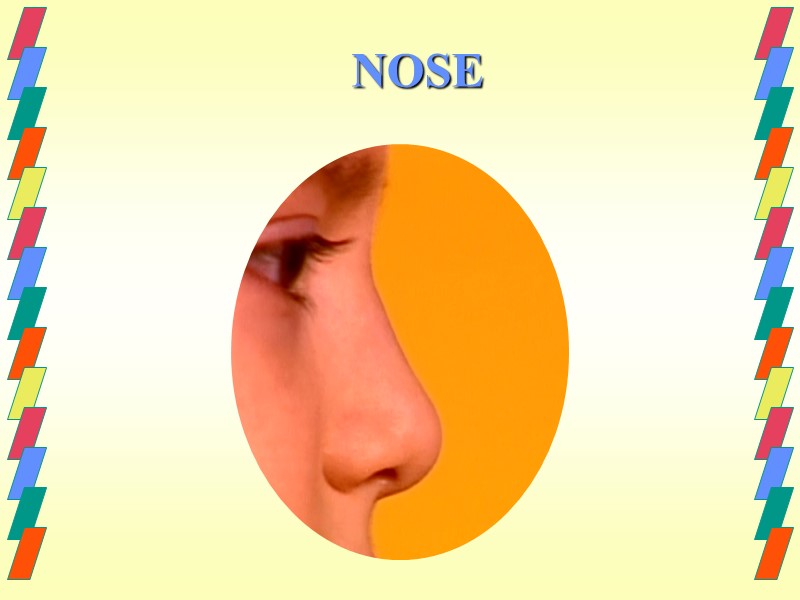 NOSE